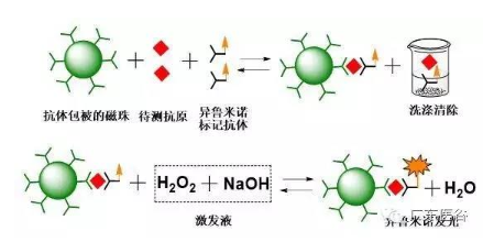 【兆恒機械】化學發(fā)光免疫分析技術(shù)-引領(lǐng)體外診斷行業(yè)